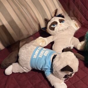 Grumpy Cat Plush Toy Set
